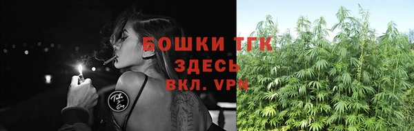 стафф Богородск