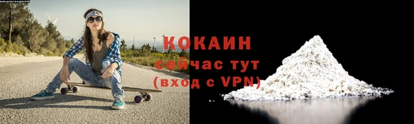 шишки Богданович