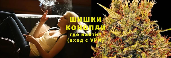 дмт Переславль-Залесский