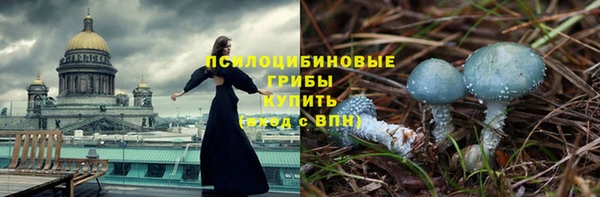 MDMA Богородицк