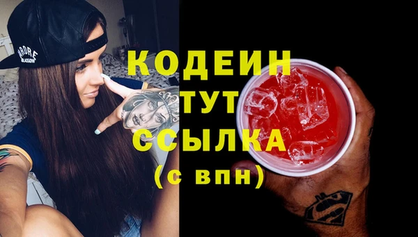 трава Белокуриха