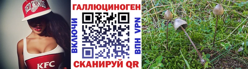 наркошоп  Далматово  Галлюциногенные грибы ЛСД 